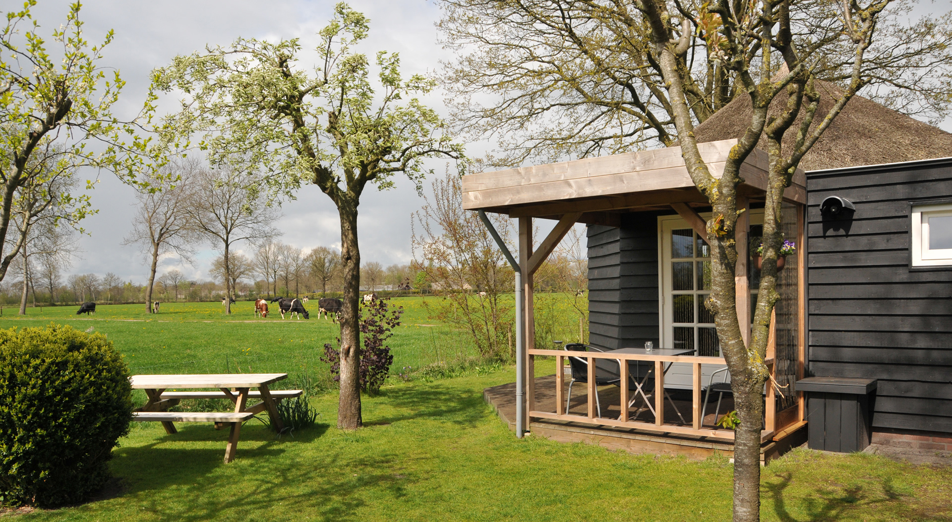 Hutje aan de Wei - Natuurhuisje in de kop van Overijssel